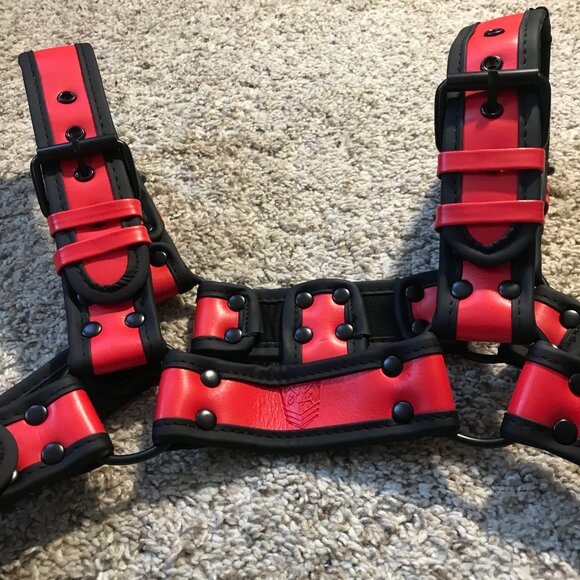 Fort Troff Rowdy Harness - Picture 2 of 3